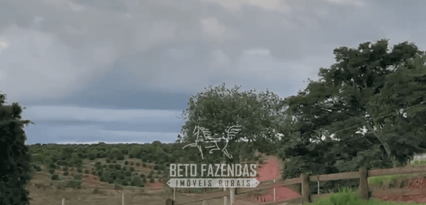 Fazenda à Venda 153 Hectares Excelete Aptidão para Café e Citricultura | Mindurim/MG