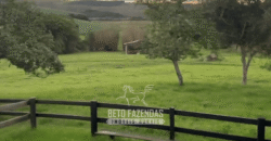 Fazenda à Venda 153 Hectares Excelete Aptidão para Café e Citricultura | Mindurim/MG