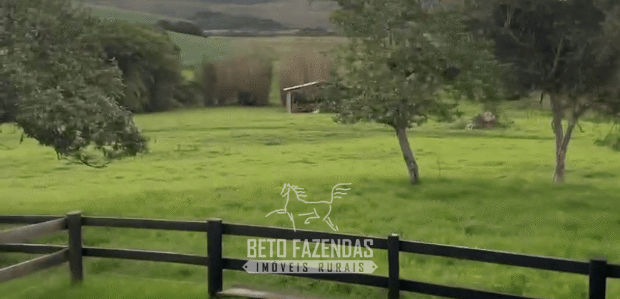 Fazenda à Venda 153 Hectares Excelete Aptidão para Café e Citricultura | Mindurim/MG