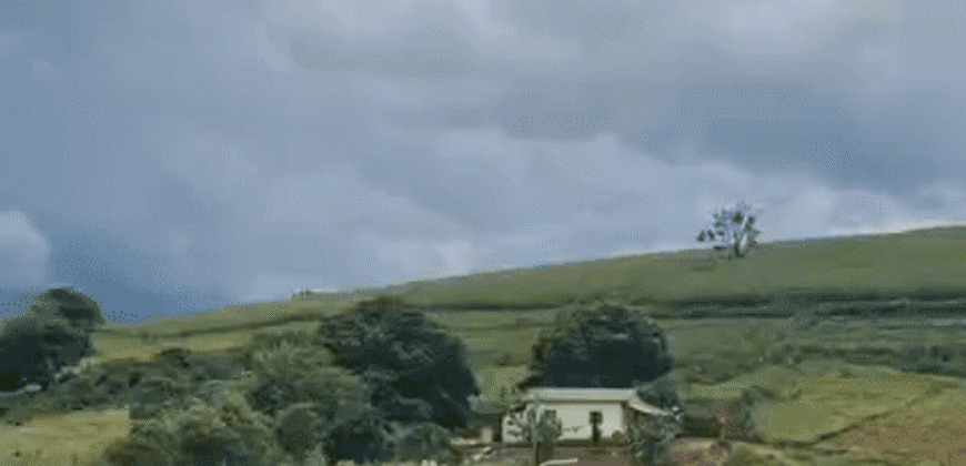 Fazenda de Café e Pecuária à Venda 87 Hectares c/ Bendeitorias e Lazer | Três Corações/ MG