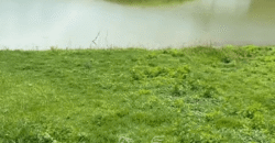 Fazenda de Café e Pecuária à Venda 87 Hectares c/ Bendeitorias e Lazer | Três Corações/ MG