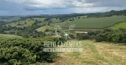 Fazenda de Café e Pecuária à Venda 87 Hectares c/ Bendeitorias e Lazer | Três Corações/ MG