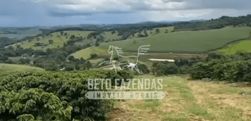 Fazenda de Café e Pecuária à Venda 87 Hectares c/ Bendeitorias e Lazer | Três Corações/ MG