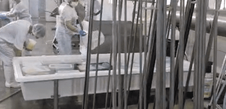 Complexo Industrial de Laticínios à Venda em uma área de 5 Alqueires no Paraná