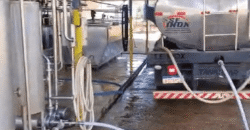 Complexo Industrial de Laticínios à Venda em uma área de 5 Alqueires no Paraná