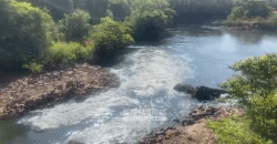 Fazendas à Venda 1.203 hectares cada Produtivas em Cana, Soja e Milho | Sacramento/ MG
