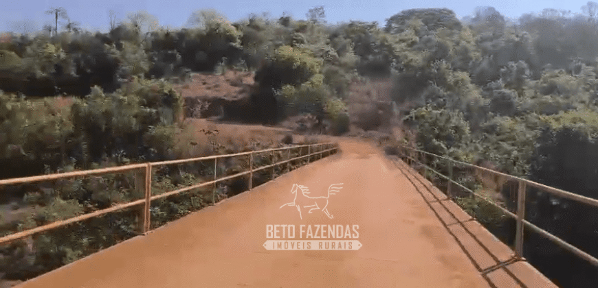 Fazendas à Venda 1.203 hectares cada Produtivas em Cana, Soja e Milho | Sacramento/ MG