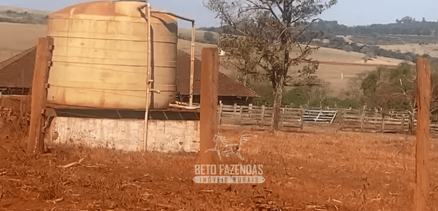 Fazendas à Venda 1.203 hectares cada Produtivas em Cana, Soja e Milho | Sacramento/ MG
