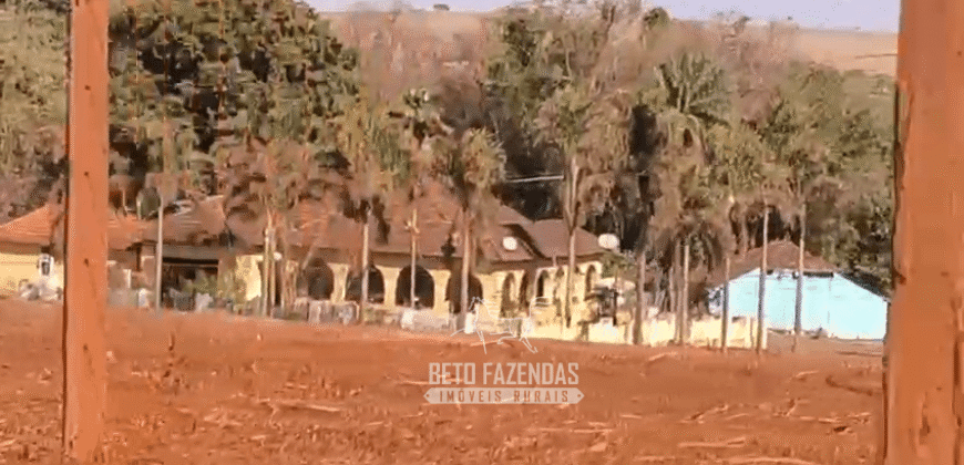Fazendas à Venda 1.203 hectares cada Produtivas em Cana, Soja e Milho | Sacramento/ MG