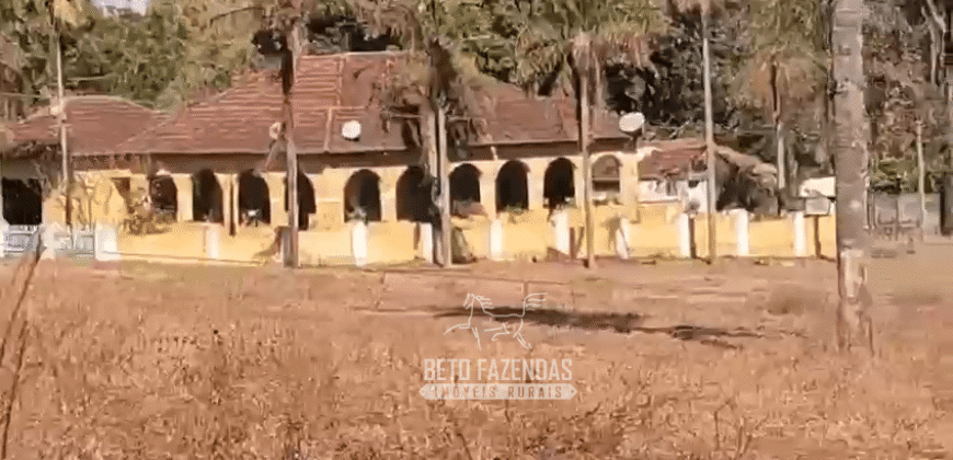 Fazendas à Venda 1.203 hectares cada Produtivas em Cana, Soja e Milho | Sacramento/ MG