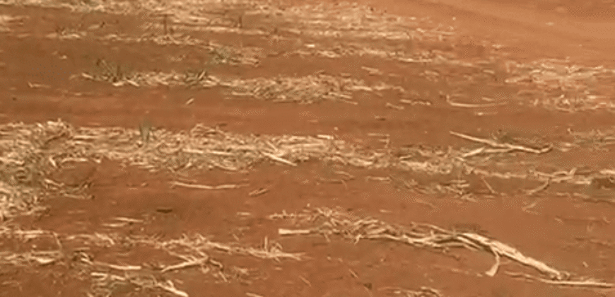 Fazendas à Venda 1.203 hectares cada Produtivas em Cana, Soja e Milho | Sacramento/ MG