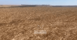 Fazendas à Venda 1.203 hectares cada Produtivas em Cana, Soja e Milho | Sacramento/ MG