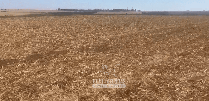 Fazendas à Venda 1.203 hectares cada Produtivas em Cana, Soja e Milho | Sacramento/ MG