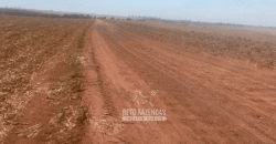 Fazendas à Venda 1.203 hectares cada Produtivas em Cana, Soja e Milho | Sacramento/ MG