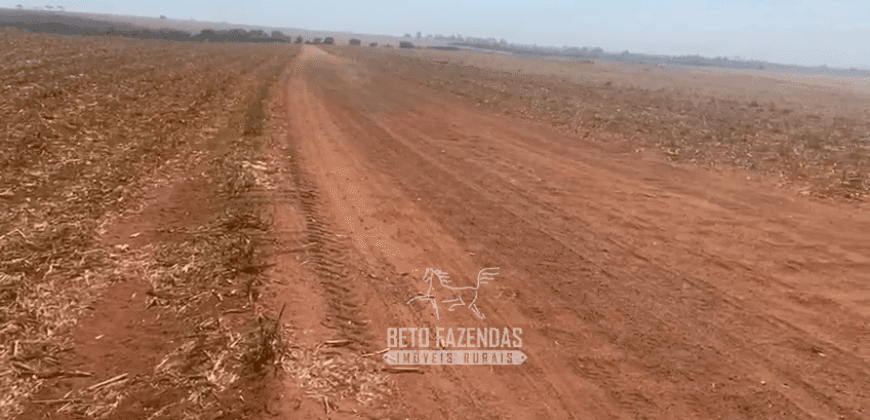 Fazendas à Venda 1.203 hectares cada Produtivas em Cana, Soja e Milho | Sacramento/ MG