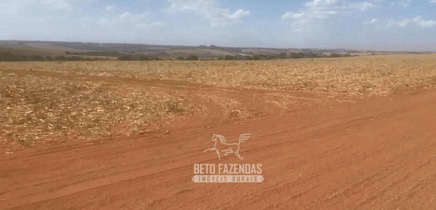 Fazendas à Venda 1.203 hectares cada Produtivas em Cana, Soja e Milho | Sacramento/ MG