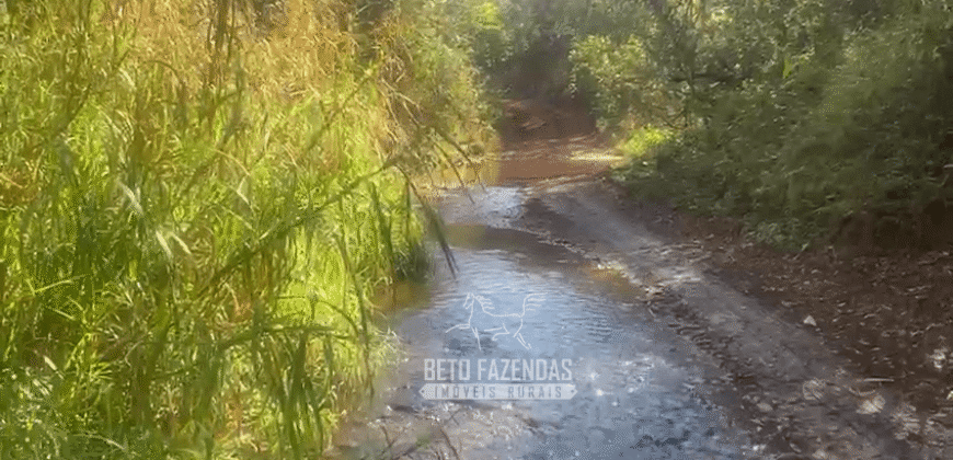 Fazendas à Venda 1.203 hectares cada Produtivas em Cana, Soja e Milho | Sacramento/ MG
