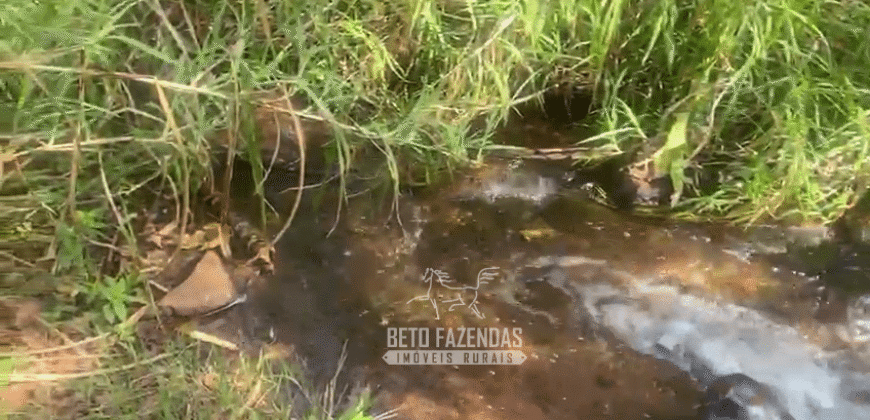 Fazendas à Venda 1.203 hectares cada Produtivas em Cana, Soja e Milho | Sacramento/ MG