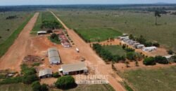 Fazenda à Venda 94.217,29 hectares Estrutura completa Pecuária e Lavoura Dupla Aptidão | Aripuanã/MT