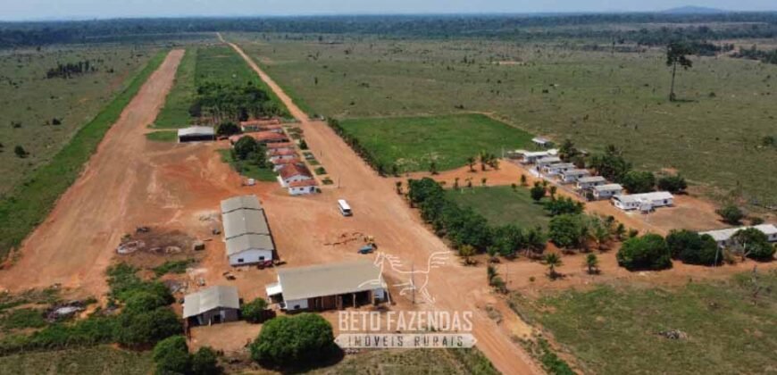 Fazenda à Venda 94.217,29 hectares Estrutura completa Pecuária e Lavoura Dupla Aptidão | Aripuanã/MT