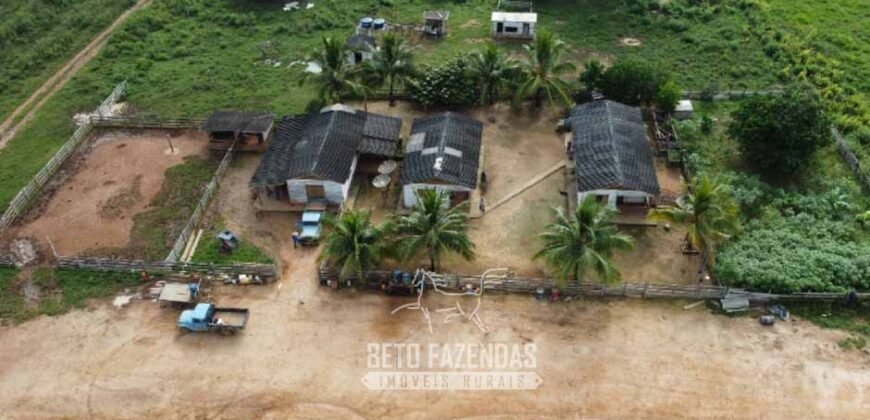 Fazenda à Venda 94.217,29 hectares Estrutura completa Pecuária e Lavoura Dupla Aptidão | Aripuanã/MT
