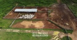 Fazenda à Venda 94.217,29 hectares Estrutura completa Pecuária e Lavoura Dupla Aptidão | Aripuanã/MT