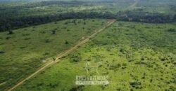 Fazenda à Venda 94.217,29 hectares Estrutura completa Pecuária e Lavoura Dupla Aptidão | Aripuanã/MT