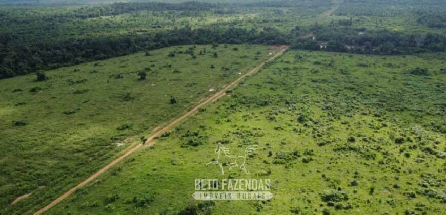 Fazenda à Venda 94.217,29 hectares Estrutura completa Pecuária e Lavoura Dupla Aptidão | Aripuanã/MT