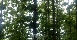 Fazenda à Venda 94.217,29 hectares Estrutura completa Pecuária e Lavoura Dupla Aptidão | Aripuanã/MT