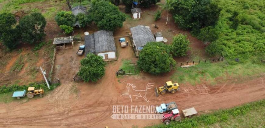 Fazenda à Venda 94.217,29 hectares Estrutura completa Pecuária e Lavoura Dupla Aptidão | Aripuanã/MT