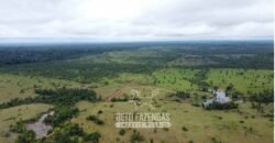 Fazenda à Venda 94.217,29 hectares Estrutura completa Pecuária e Lavoura Dupla Aptidão | Aripuanã/MT