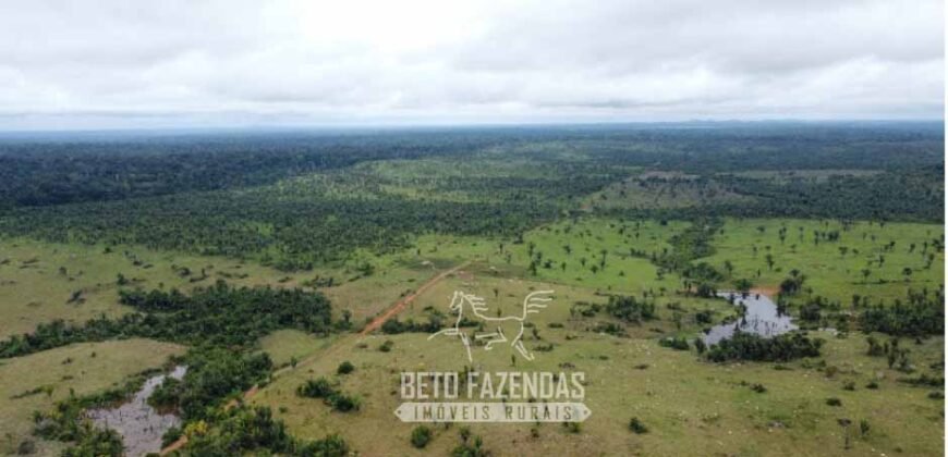 Fazenda à Venda 94.217,29 hectares Estrutura completa Pecuária e Lavoura Dupla Aptidão | Aripuanã/MT