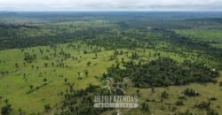 Fazenda à Venda 94.217,29 hectares Estrutura completa Pecuária e Lavoura Dupla Aptidão | Aripuanã/MT