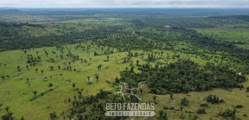 Fazenda à Venda 94.217,29 hectares Estrutura completa Pecuária e Lavoura Dupla Aptidão | Aripuanã/MT