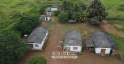 Fazenda à Venda 94.217,29 hectares Estrutura completa Pecuária e Lavoura Dupla Aptidão | Aripuanã/MT