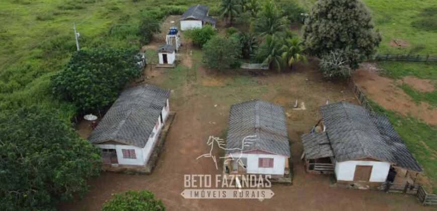 Fazenda à Venda 94.217,29 hectares Estrutura completa Pecuária e Lavoura Dupla Aptidão | Aripuanã/MT