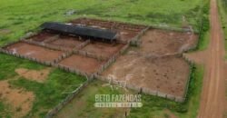 Fazenda à Venda 94.217,29 hectares Estrutura completa Pecuária e Lavoura Dupla Aptidão | Aripuanã/MT