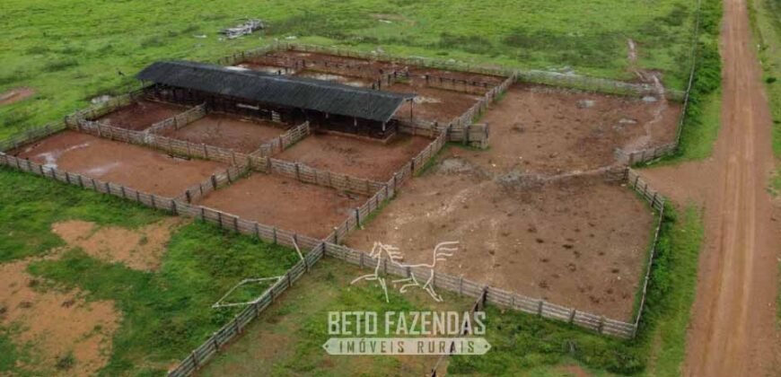 Fazenda à Venda 94.217,29 hectares Estrutura completa Pecuária e Lavoura Dupla Aptidão | Aripuanã/MT
