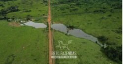 Fazenda à Venda 94.217,29 hectares Estrutura completa Pecuária e Lavoura Dupla Aptidão | Aripuanã/MT