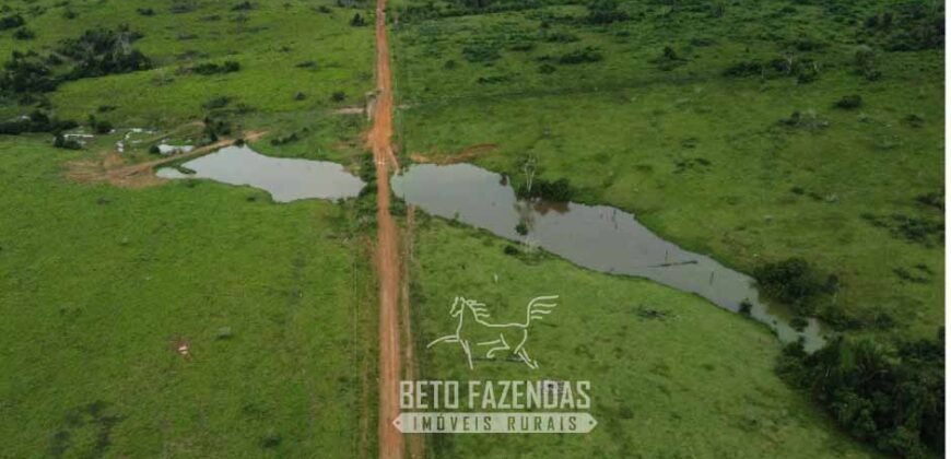 Fazenda à Venda 94.217,29 hectares Estrutura completa Pecuária e Lavoura Dupla Aptidão | Aripuanã/MT