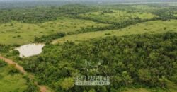 Fazenda à Venda 94.217,29 hectares Estrutura completa Pecuária e Lavoura Dupla Aptidão | Aripuanã/MT