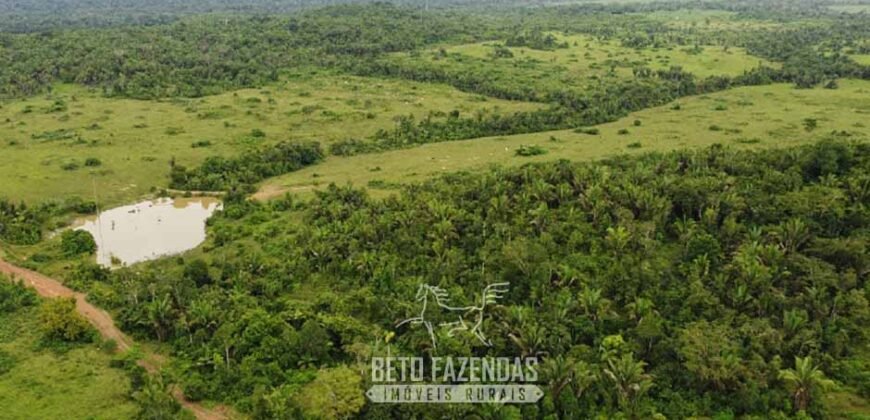 Fazenda à Venda 94.217,29 hectares Estrutura completa Pecuária e Lavoura Dupla Aptidão | Aripuanã/MT