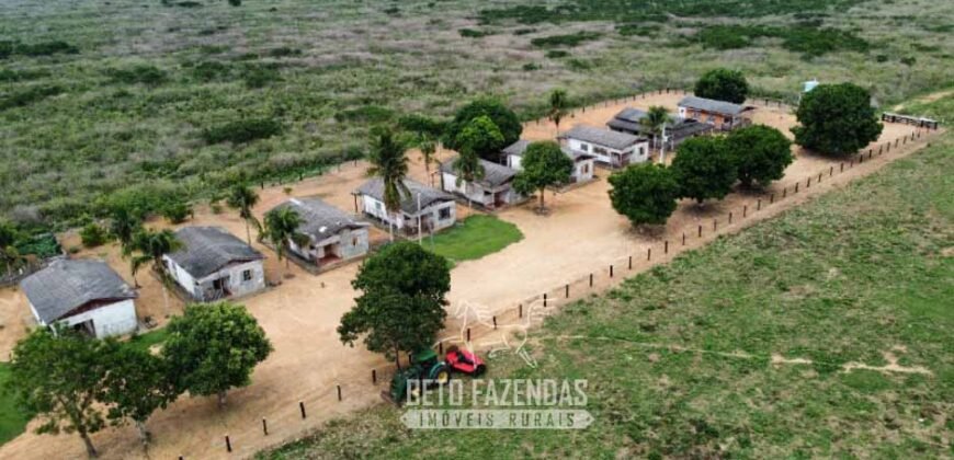 Fazenda à Venda 94.217,29 hectares Estrutura completa Pecuária e Lavoura Dupla Aptidão | Aripuanã/MT