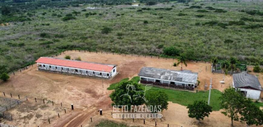 Fazenda à Venda 94.217,29 hectares Estrutura completa Pecuária e Lavoura Dupla Aptidão | Aripuanã/MT
