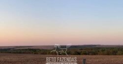 Fazenda de Soja e Algodão 46.000 hectares Estrutura Completa no Mato Grosso Fazenda de Soja e Algodão 46.000 hectares Estrutura Completa no Mato Grosso