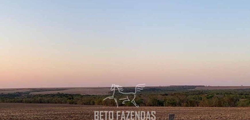 Fazenda de Soja e Algodão 46.000 hectares Estrutura Completa no Mato Grosso Fazenda de Soja e Algodão 46.000 hectares Estrutura Completa no Mato Grosso