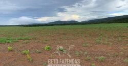 Fazenda de Soja e Algodão 46.000 hectares Estrutura Completa no Mato Grosso Fazenda de Soja e Algodão 46.000 hectares Estrutura Completa no Mato Grosso