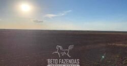 Fazenda de Soja e Algodão 46.000 hectares Estrutura Completa no Mato Grosso Fazenda de Soja e Algodão 46.000 hectares Estrutura Completa no Mato Grosso