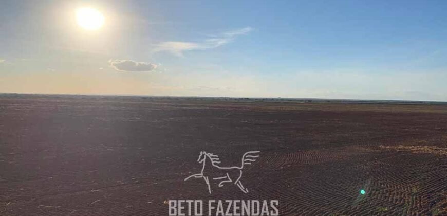Fazenda de Soja e Algodão 46.000 hectares Estrutura Completa no Mato Grosso Fazenda de Soja e Algodão 46.000 hectares Estrutura Completa no Mato Grosso
