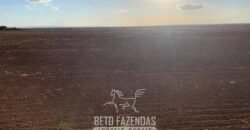 Fazenda de Soja e Algodão 46.000 hectares Estrutura Completa no Mato Grosso Fazenda de Soja e Algodão 46.000 hectares Estrutura Completa no Mato Grosso